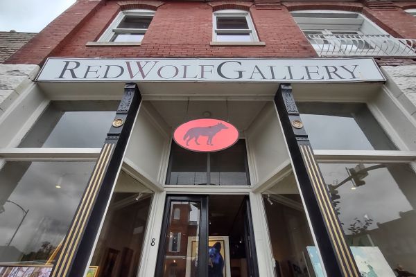 Red wolf gallery